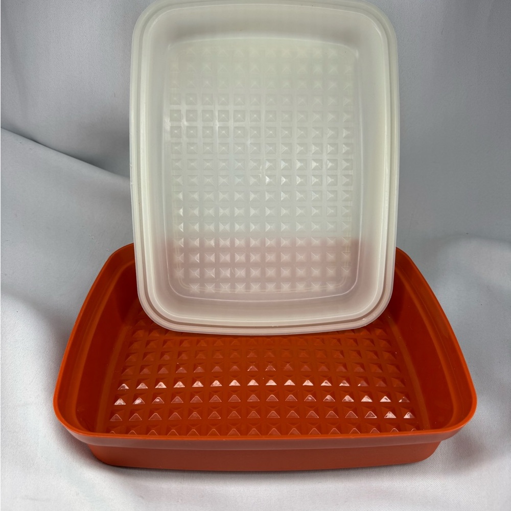 Vintage Tupperware Season Serve Jr. Marinade Keeper Container Paprika Red
